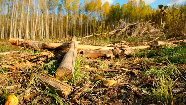 Svg+xml;charset=utf 8,%3Csvg xmlns%3D'http%3A%2F%2Fwww.w3