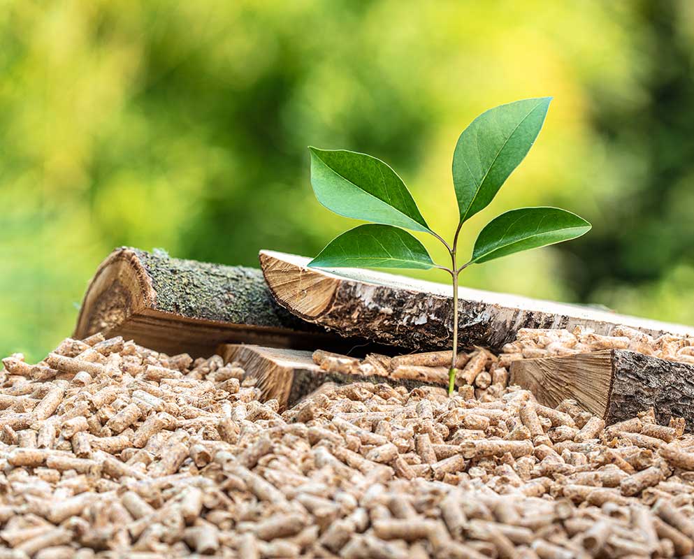 Svg+xml;charset=utf 8,%3Csvg xmlns%3D'http%3A%2F%2Fwww.w3